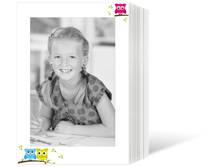 Endlosleporello für 13x18 cm - weiß - weiß mit 4-farbigem Druck Eulen - 100 Teile