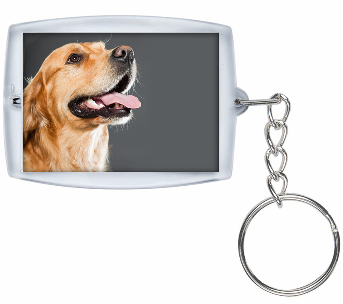 Schlüsselanhänger für Paßbilder 4,6x3,2 cm - Klassik