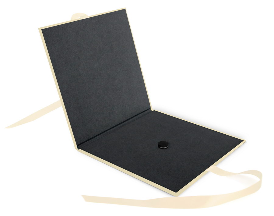 Momentum DVD-Cover Akilea Easy 16x16 Efalin creme