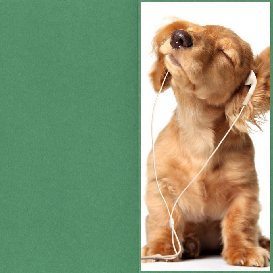 10 Stück Faltkarte / Klappkarte