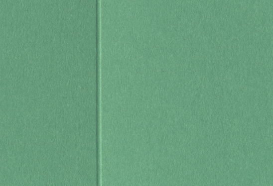 10 Stück Passepartoutkarte 2-fach